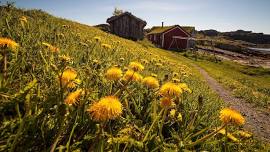 Family Sunday at the Lofoten Museum