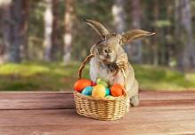 Easter Weekend Celebrations at Sussex KOA!