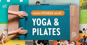 Yoga & Pilates