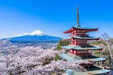 Mount Fuji Private Custom Tour from Tokyo: Explore Hidden Gems with a Professional Driver