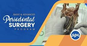 Basic and Advanced Clinical Periodontal Surgery Program