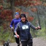 Great Pumpkin Chase