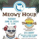 Meowy Hour hosted by Tortugas