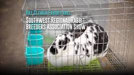 Southwest Regional Rabbit Breeders Association show