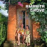 Amanita Grove LIVE @ The London Inn, Braunton