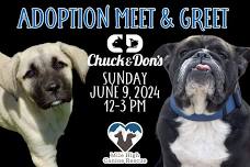 Adoption Meet & Greet