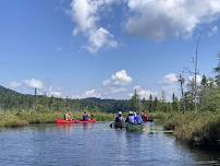 Guide Canoe Paddle – Summer