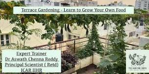 Terrace Gardening - Grow your own vegetables