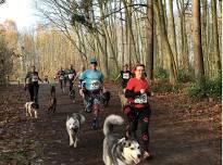 Bedgebury Spring 10k & 5k Canicross Challenge