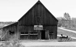 The Barn Shop Spring Opening 