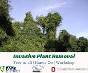 Landowner Conservation Series: Invasive Plant Removal