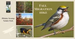 Fall Migration Bird Hike