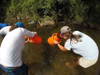 Guided River Snorkel near Sugar Grove, NC 6/21