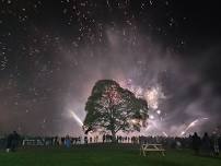 bonfire night bawtry