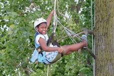 Try it! Tree Climbing (Adults and 8+)