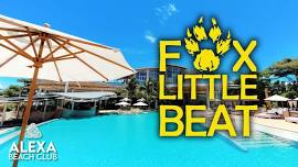 DJ Fox Little Beat