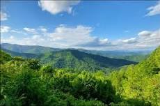 Joyce Kilmer Memorial Forest + hike from Cherohala SkyWay