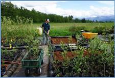 Drop-In Potting Party