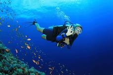 Kusadasi Scuba Diving Tour: Discover the Underwater Kingdom with Professional Guides