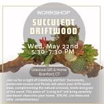 Succulents on Driftwood Workshop