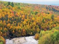 XTREME TURTLE TIME HIKE!!! Big Pocono State Park's Indian Trail