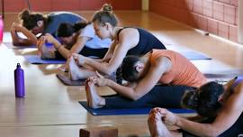 July 2024 - Vinyasa Yoga TTC