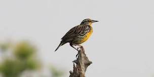 Public Birding Day at the Hudson Valley Farm Hub