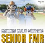 Mahoning Valley Scrappers Senior Fair