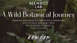 A Wild Botanical Journey - A Masterclass Workshop of Foraging, Sustainability, Creativity, & Connection