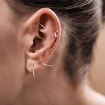 Ear/Auricular Acupuncture