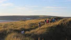 An evening walk around the southern area of Braunton Burrows (Tuesday 18 June)