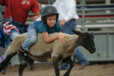 Mutton Bustin’