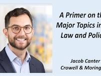 A Primer on the Major Topics in AI Law and Policy