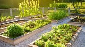 Raised Bed Gardening