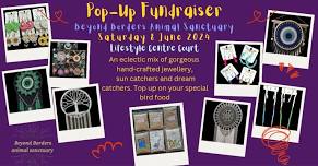 Pop-up Fundraiser