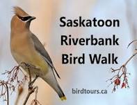 Saskatoon Riverbank Bird Walk