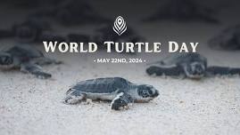 WORLS TURTLE DAY