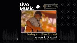 Dan Stonerook | Fridays In The Forest