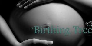 Childbirth Preparation Class - 6 Week Series