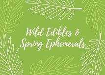 Wild Edibles & Spring Ephemerals