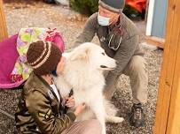 Missoula Clinic    — The Street Dog Coalition