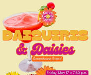 Daiquiris & Daisies