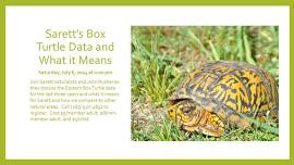 Sarett's Box Turtle Data and What it Means