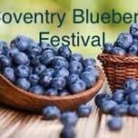 The 17th Annual Blueberry Festival