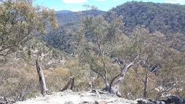 Scottsdale Bush Heritage Reserve. A talk by Phil Palmer