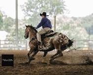 Southern Comfort: Appaloosa Horse Club Horse Show