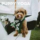 Puppy Yoga — Old Yale Brewing