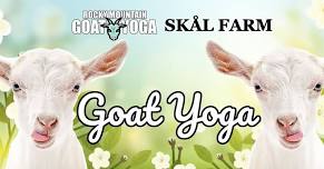 Goat Yoga - June 8th (Skål Farm)