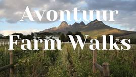 Avontuur Guided Farm Walks