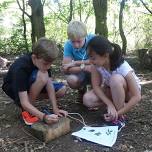 Acorn Explorers Holiday Club - May Half Term